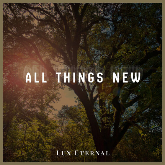 All Things New cover